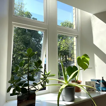 Hampton Hall - Wonderful Converted In Redland *
